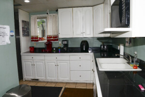 Eubanks House Kitchen Cabinets and Counter